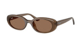 Ray-Ban RB4441D 677973