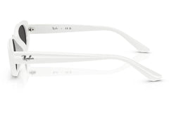 Ray-Ban RB4441D 677287.