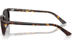 Ray-Ban Zaya RB4456 135987.