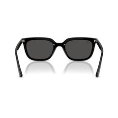 Ray-Ban RB 4439D 901/87