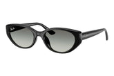 Ray-Ban RB4457D 667711.