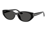 Ray-Ban RB4457D 667787.