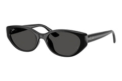 Ray-Ban RB4457D 667787.
