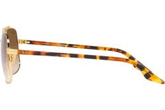 Ray-Ban RB3699 001/51.