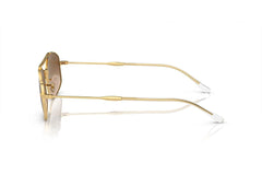 Ray-Ban RB3719 001/51.