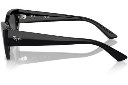 Ray-Ban Zena RB4430 F 6677/87