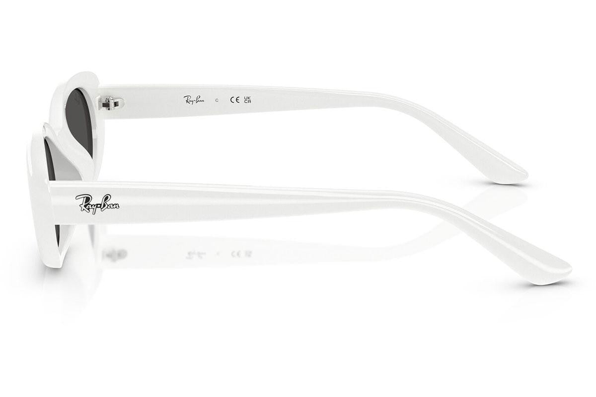 Ray-Ban RB4441D 677287.