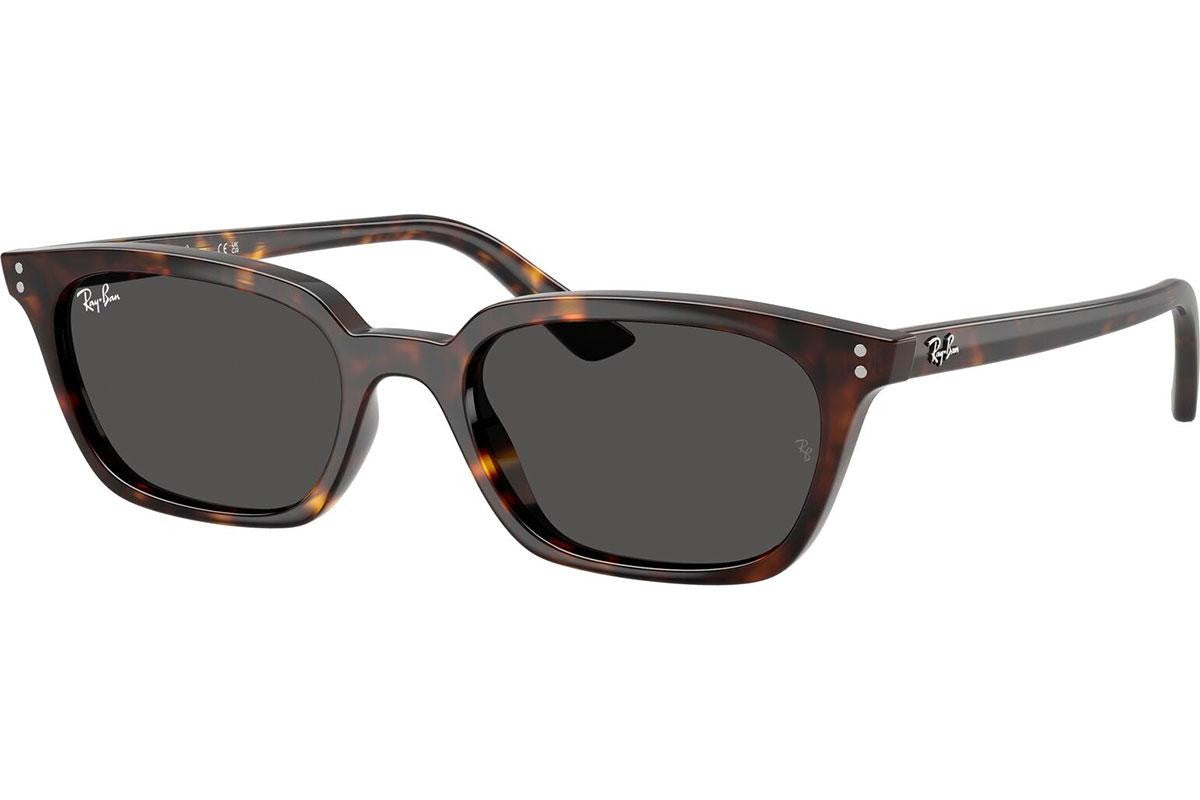 Ray-Ban Zaya RB4456 135987.