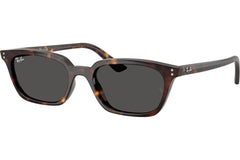 Ray-Ban Zaya RB4456 135987.