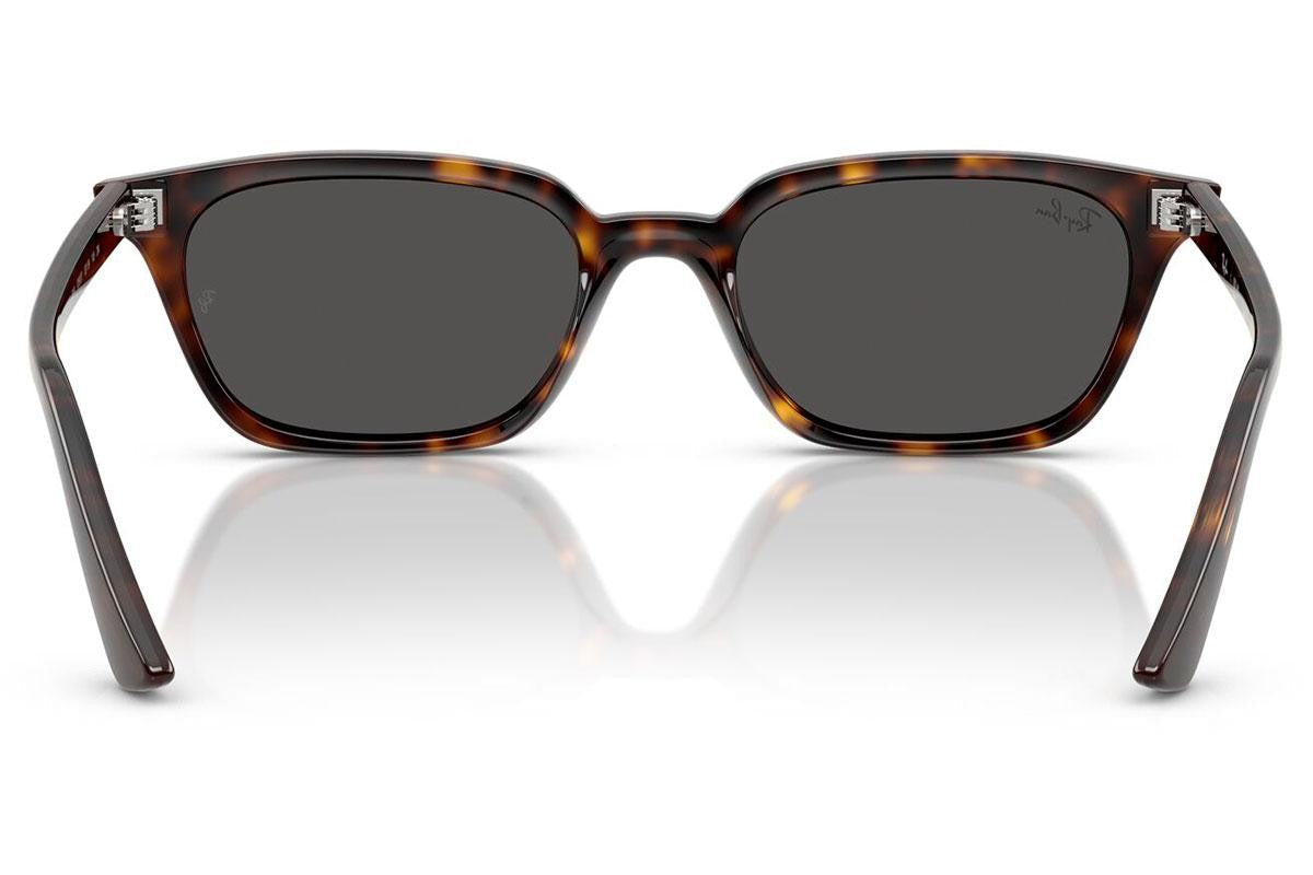 Ray-Ban Zaya RB4456 135987.