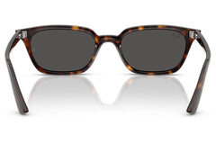 Ray-Ban Zaya RB4456 135987.
