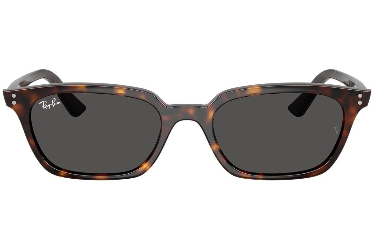 Ray-Ban Zaya RB4456 135987.