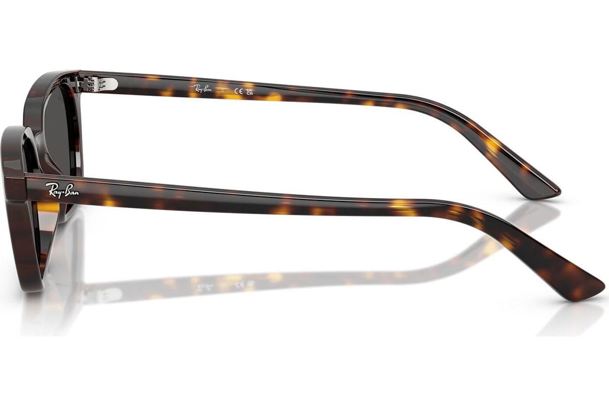Ray-Ban Zaya RB4456 135987.