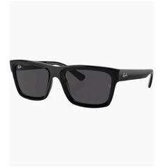 Ray-Ban Warren RB4396 667787.