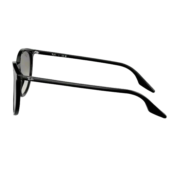 Ray-Ban Ochelari de Soare RB2204 901/32