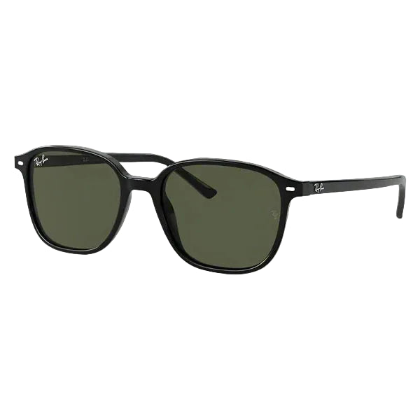 RAY-BAN, Ochelari de soare, LEONARD RB2193 - 901/31