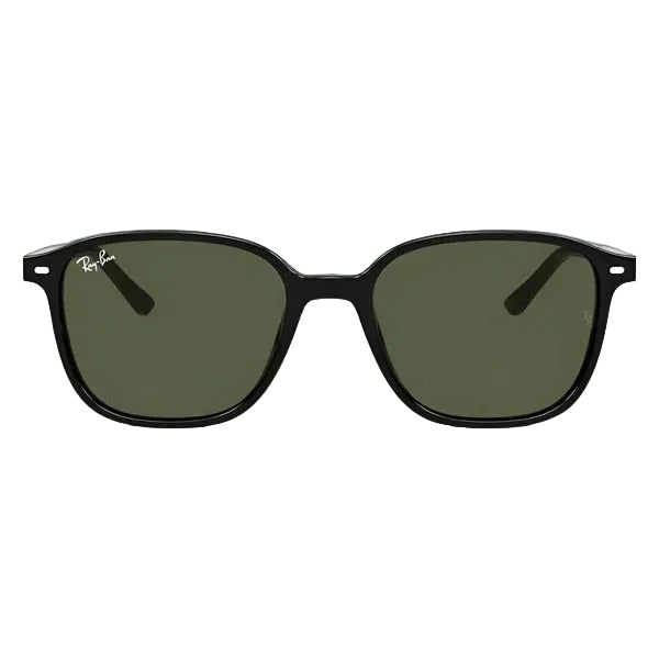 RAY-BAN, Ochelari de soare, LEONARD RB2193 - 901/31