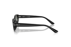 Ray-Ban RB4457D 667711.
