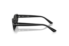 Ray-Ban RB4457D 667787.