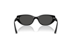Ray-Ban RB4457D 667787.
