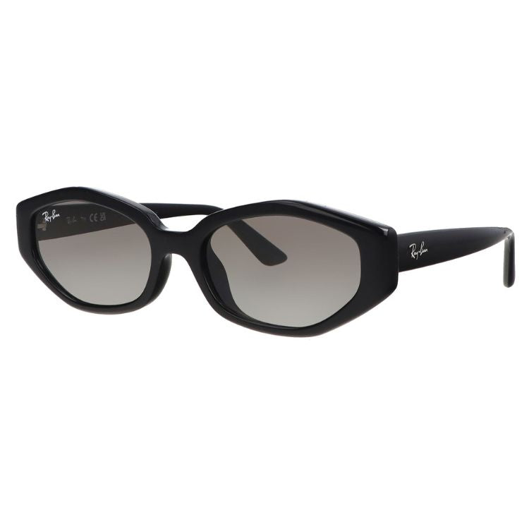 RAY-BAN Ochelari de Soare RB4473D 6677/11