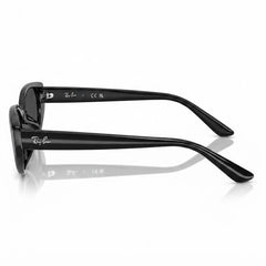 RAY-BAN Ochelari de Soare RB4457D 6677/87
