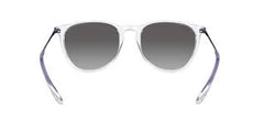 Ray-Ban Erika Classic RB4171 6516/11.